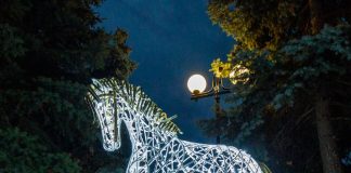 Световые фигуры из дюралайта: эффектно, безопасно, недорого