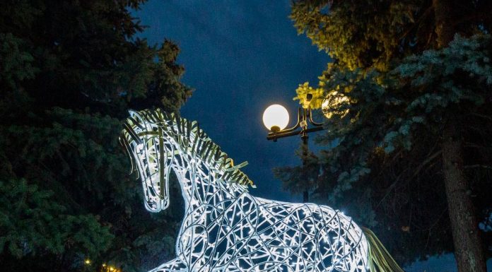 Световые фигуры из дюралайта: эффектно, безопасно, недорого