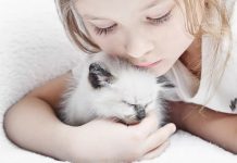 Причины онкологических заболеваний у домашних животных