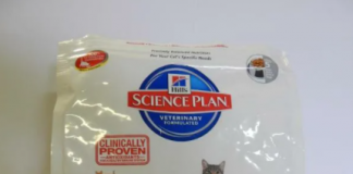 Hill’s Science Plan: система питания для котов и кошек после стерилизации, почему им нужен особый корм и какие проблемы со здоровьем он предотвращает