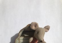 Символ зимних праздников у датчан