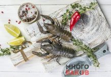 Московские раки: что нужно знать? Где продают?