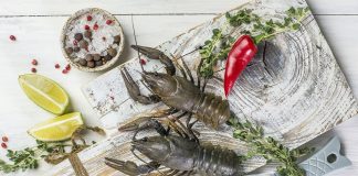 Московские раки: что нужно знать? Где продают?