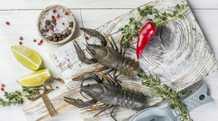 Московские раки: что нужно знать? Где продают?