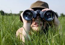 Хороший бинокль – удачная охота