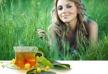 Фитотерапия – древнейшее направление в народной медицине