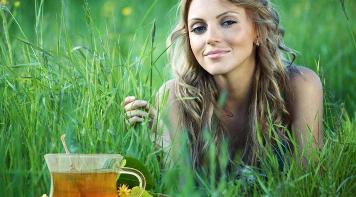 Фитотерапия – древнейшее направление в народной медицине