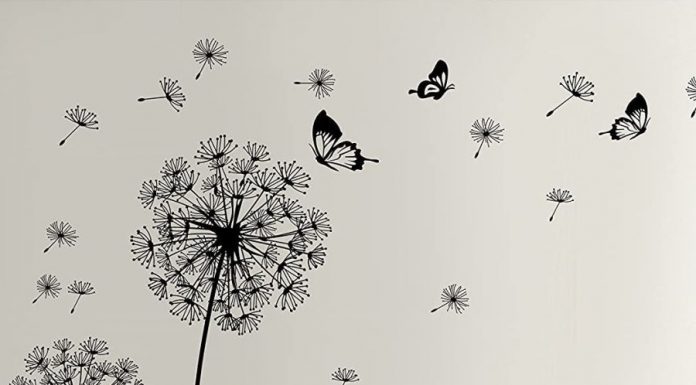 Виниловая наклейка на стену