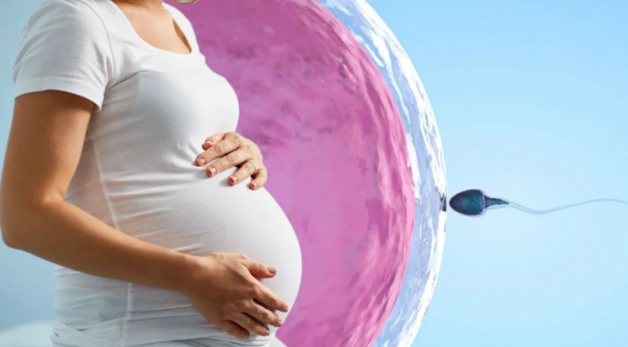 Экстракорпоральное оплодотворение, как шанс