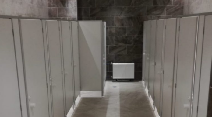 Сантехнические перегородки: что это, для чего нужно