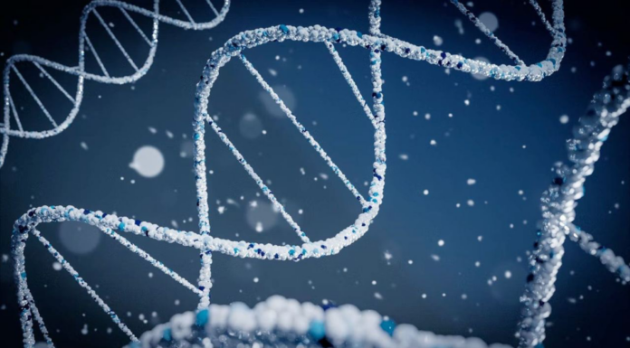 Глутатион: антиоксидант для здоровья и долголетия