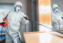 Профессиональная дезинсекция от муравьев: избавляемся от вредителей