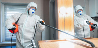 Профессиональная дезинсекция от муравьев: избавляемся от вредителей